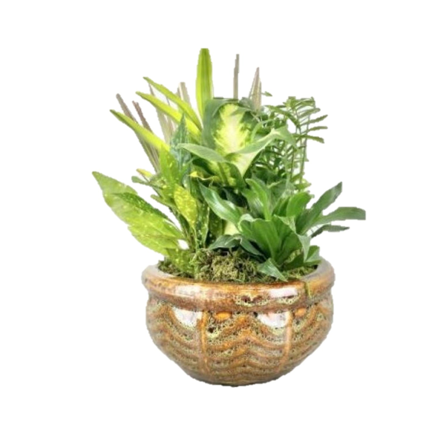 Mixed Planters