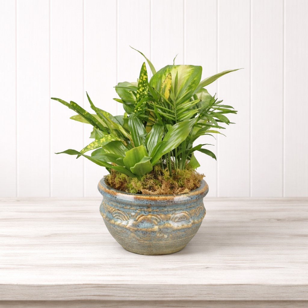 Mixed Planters