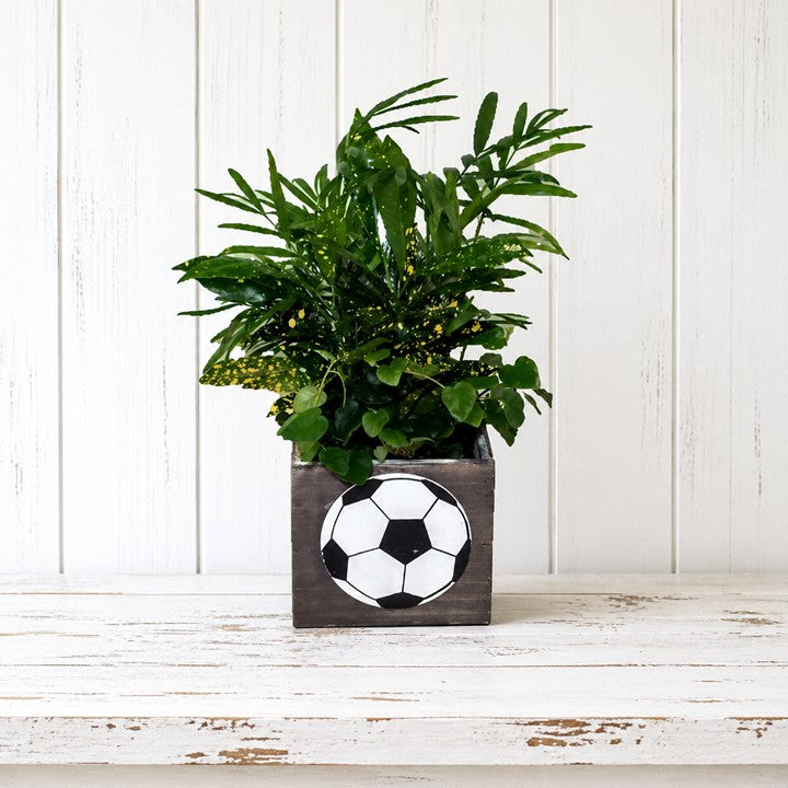 Sports Planter