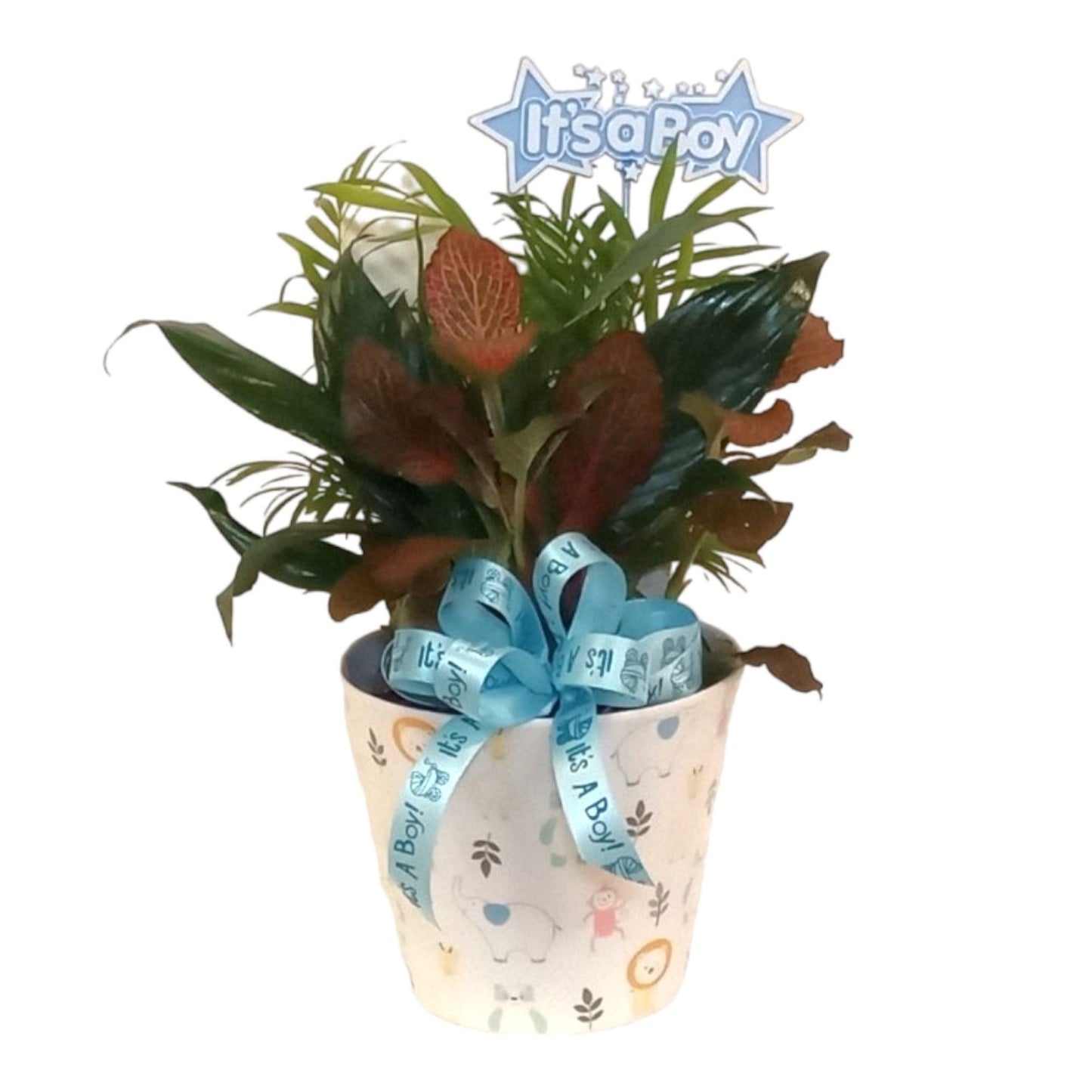 Baby Boy Planter