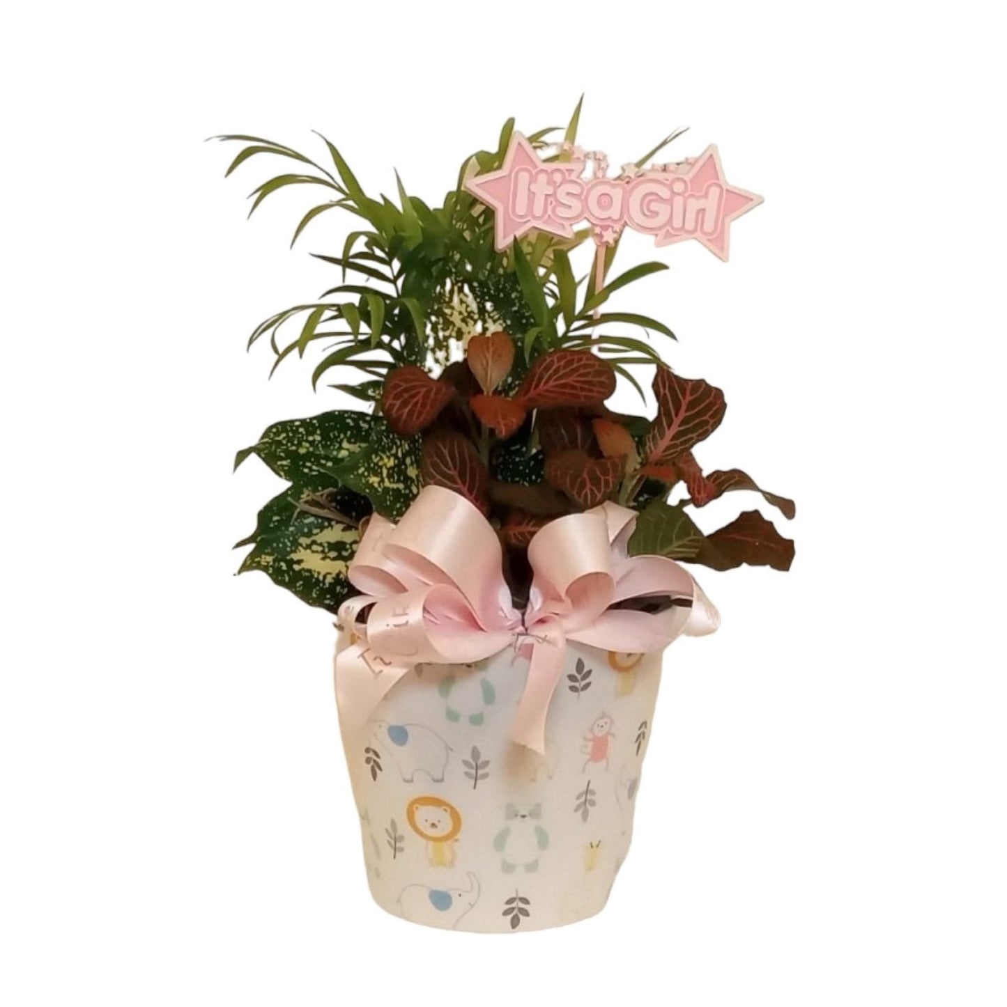 Baby Girl Planter