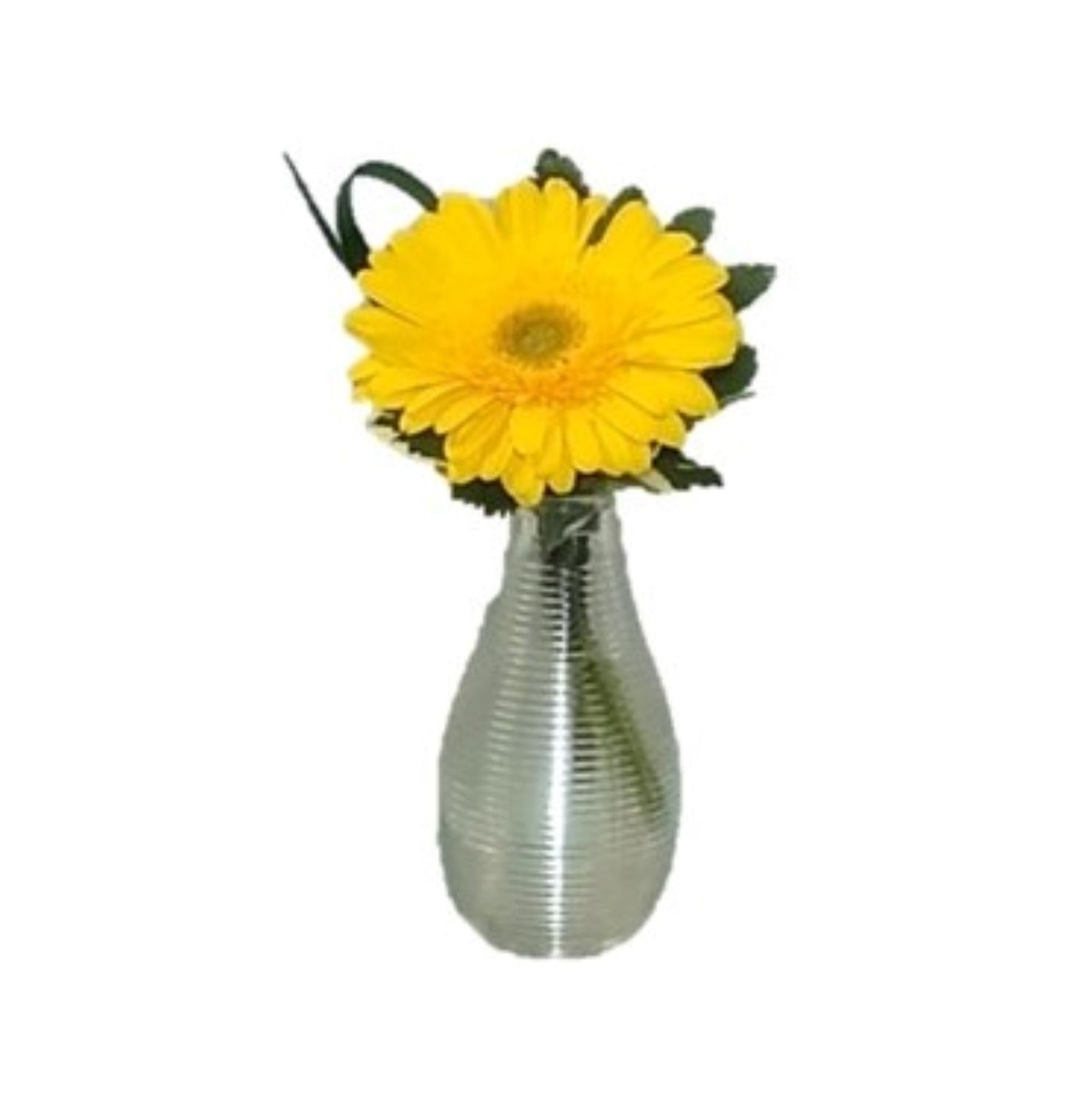 Petite Gerbera Daisy