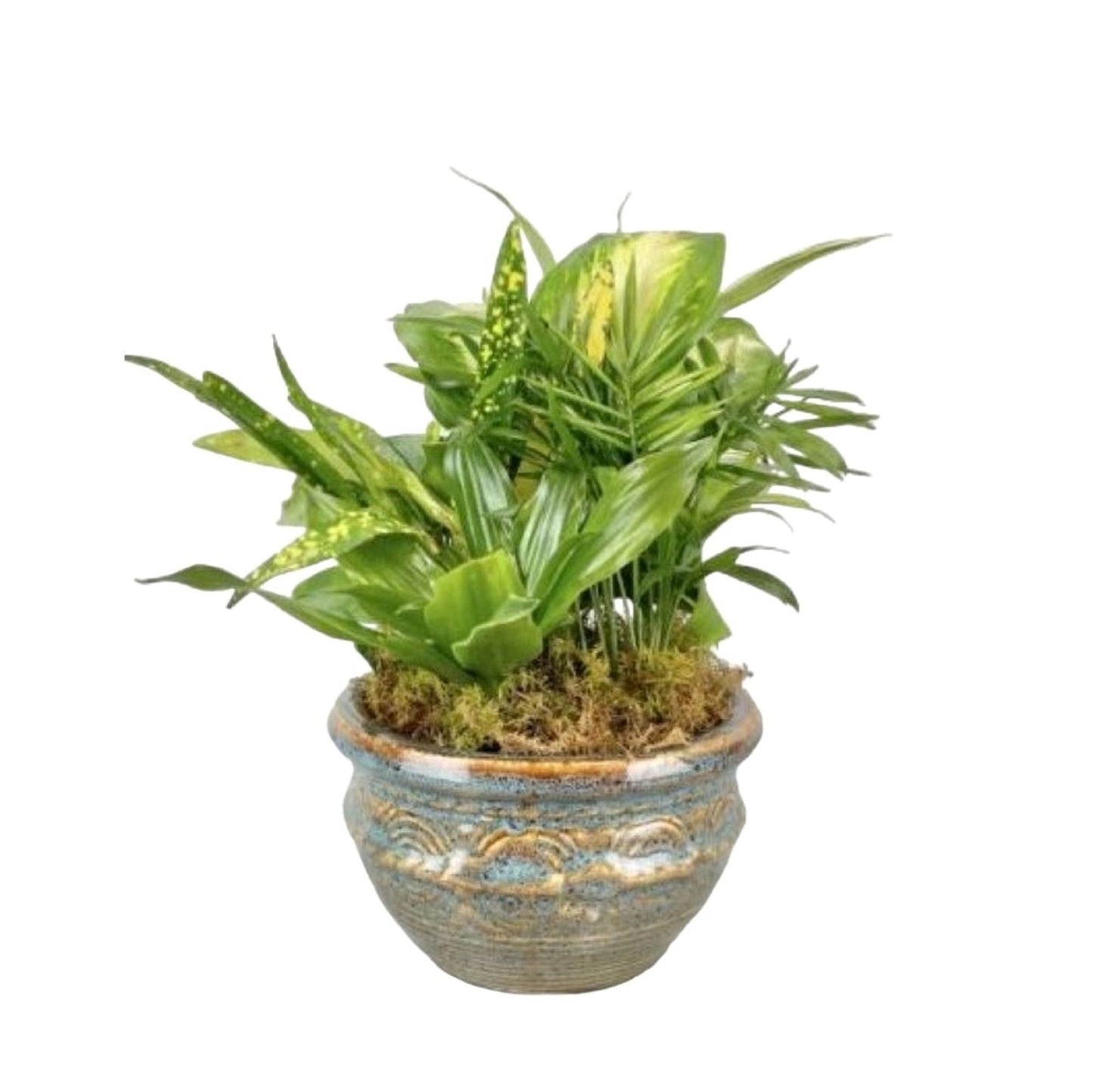 Mixed Planters