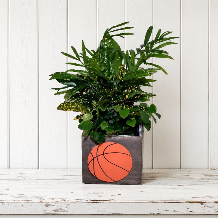 Sports Planter – Gift Shop