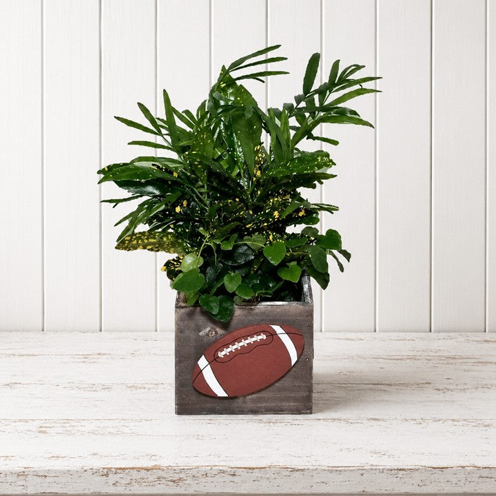 Sports Planter – Gift Shop