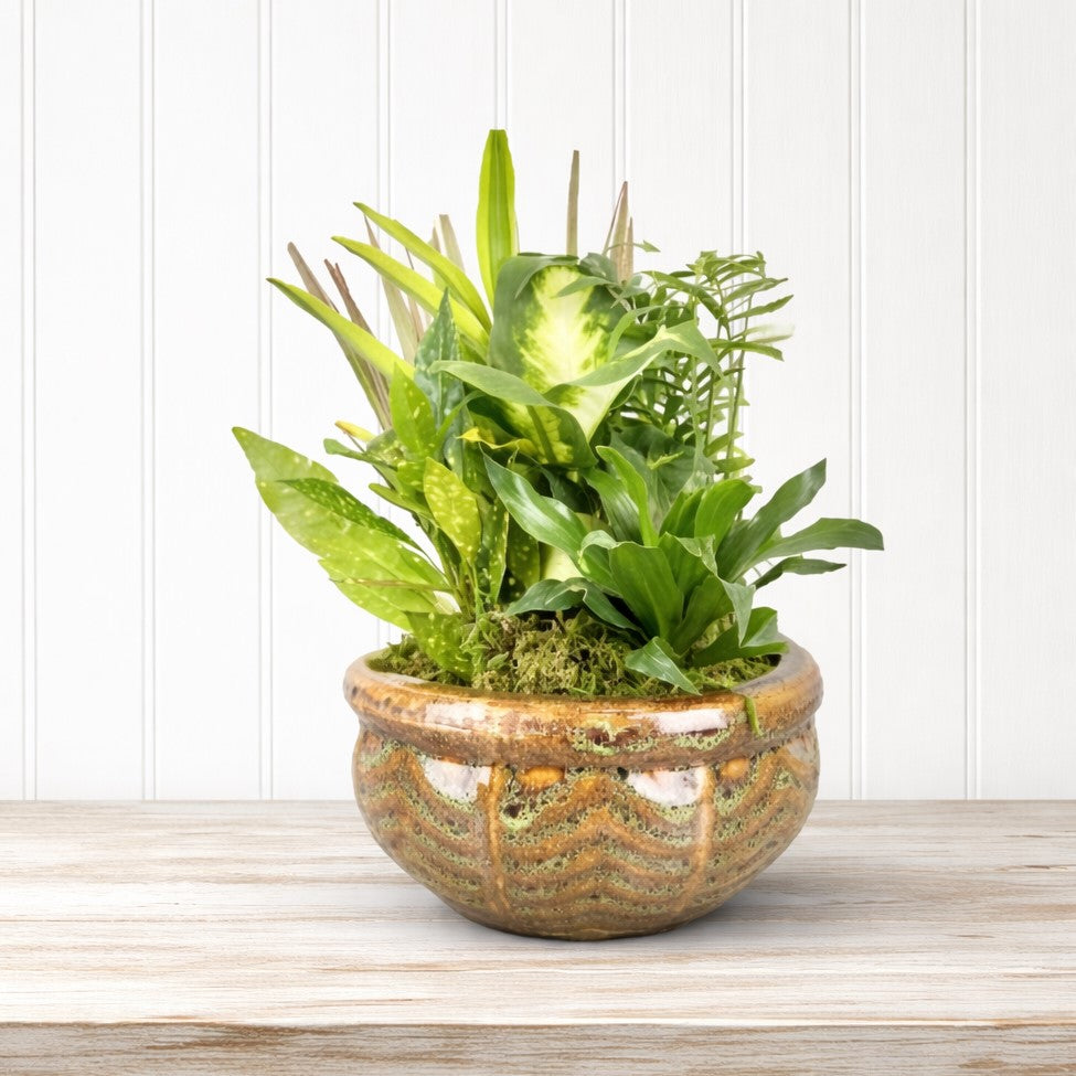 Mixed Planters