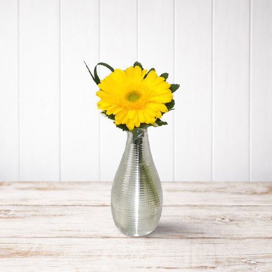 Petite Gerbera Daisy
