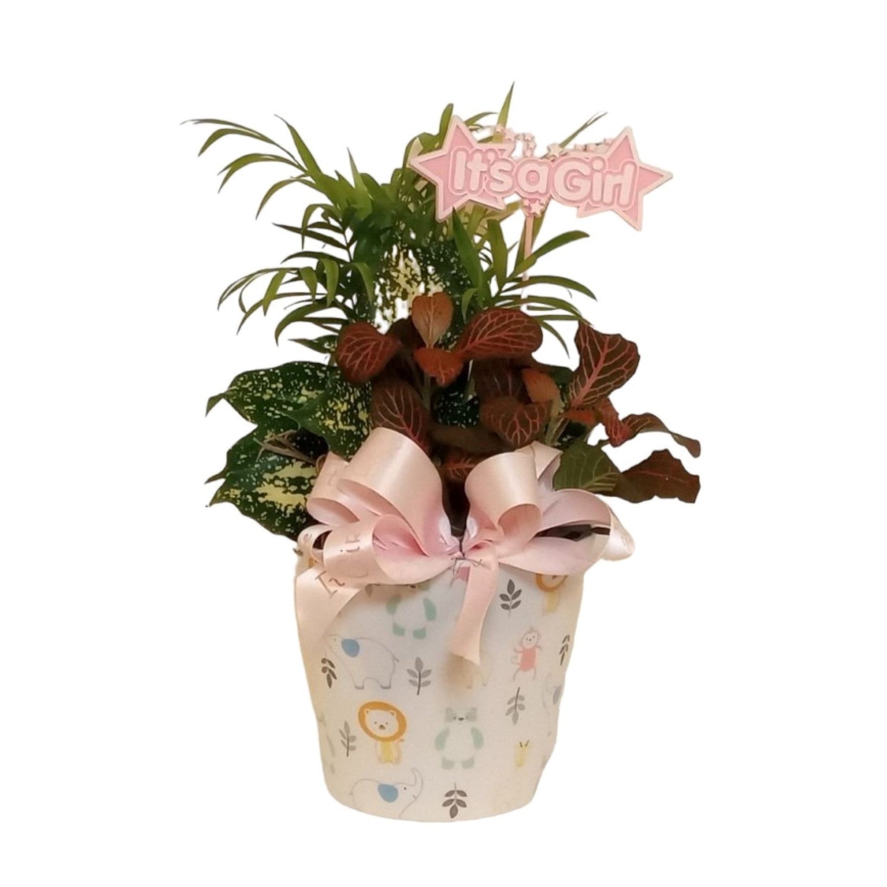 Baby Girl Planter – Gift Shop | UnityPoint Health – Cedar Rapids