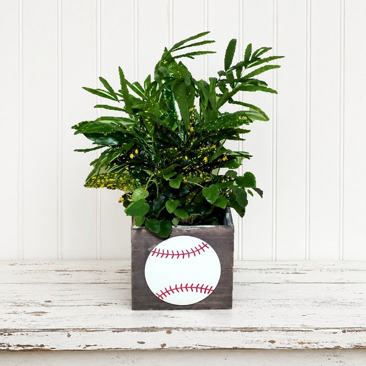 Sports Planter