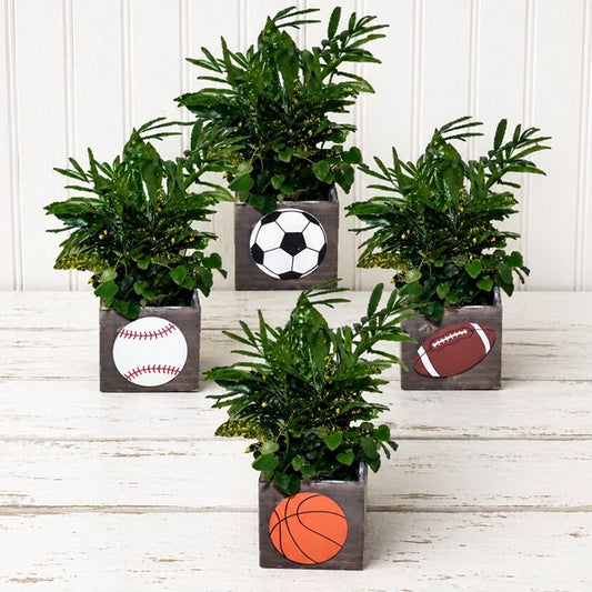 Sports Planter